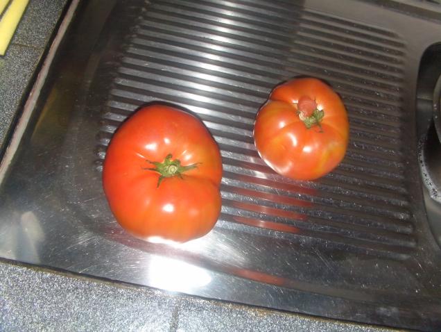 Was kann man leckeres aus Tomaten zaubern?