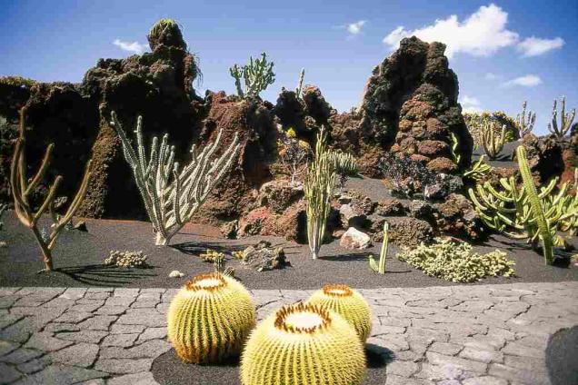 Landausflug auf Lanzarote