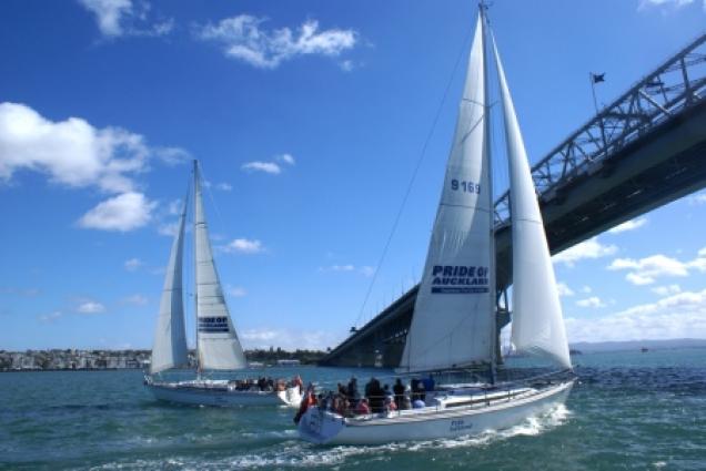 Landausflug in Auckland