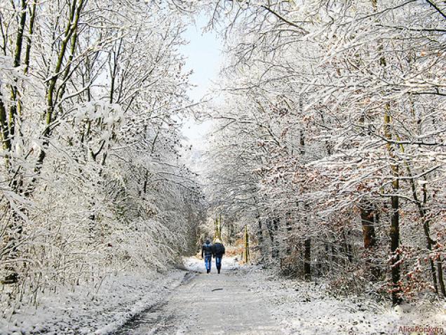 Einfach bequem – stylische Schuhe für den Winterspaziergang