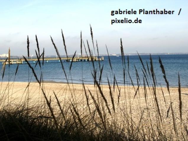 Einen unvergesslichen Familienurlaub an der Ostsee erleben