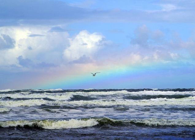 Ein Angelurlaub in Dänemark